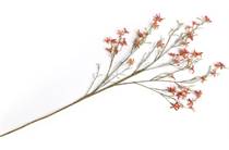 Coco Maison Forsythia Branch kunstbloem H150cm 